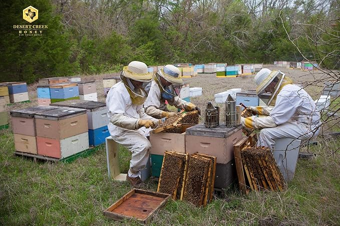 Pack of Two 12 oz. Honey Bears Raw, Unfiltered, Unpasteurized Texas Honey by Desert Creek Honey Non-GMO, Kosher