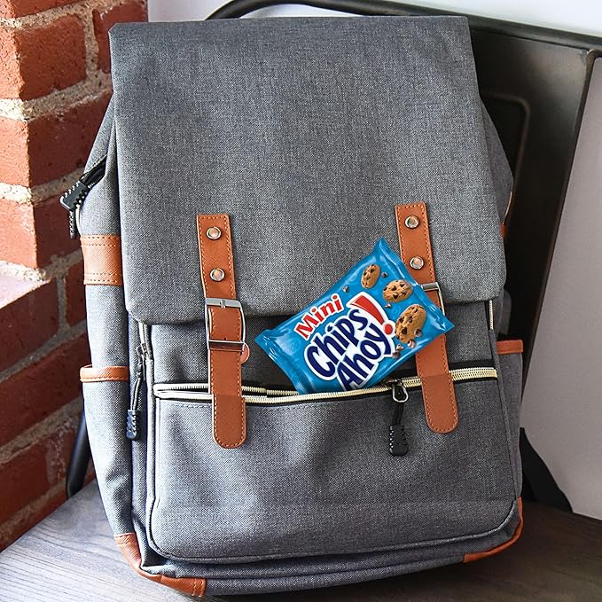 CHIPS AHOY! Mini Original Chocolate Chip Cookies, 40 Snack Packs (4 Boxes)