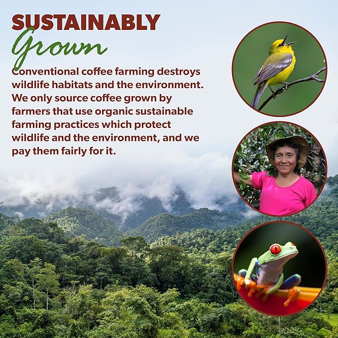 Low Acid Organic Coffee – Whole Bean, Mold-Free & Stomach Friendly by Java Planet, Good Morning Blend Coffee, Medium Roast, Smooth Full Flavored, 2x1LB Bag