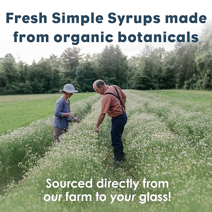 Bluestem Botanicals Organic Lavender Simple Syrup, 8 oz, Cocktail and Mocktail Mixer for Drinks, Non-Alcoholic