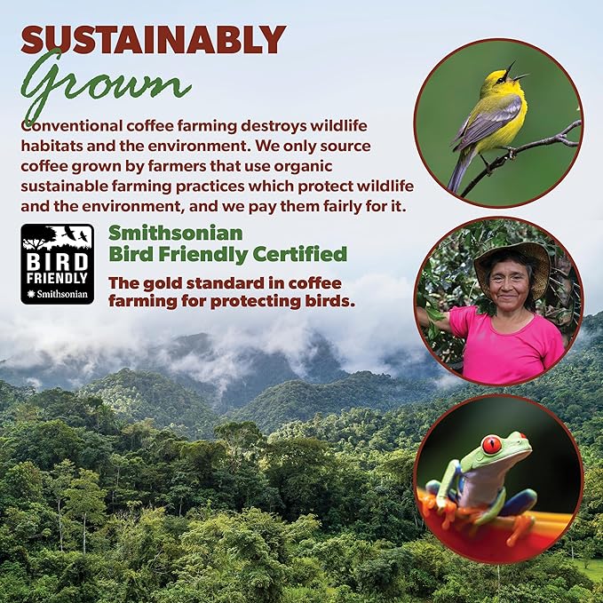 Low Acid Organic Coffee – Whole Bean, Mold-Free & Stomach Friendly by Java Planet, Guatemalan Single Origin Coffee, Medium Roast, Smooth Full Flavored, 2x1LB Bag